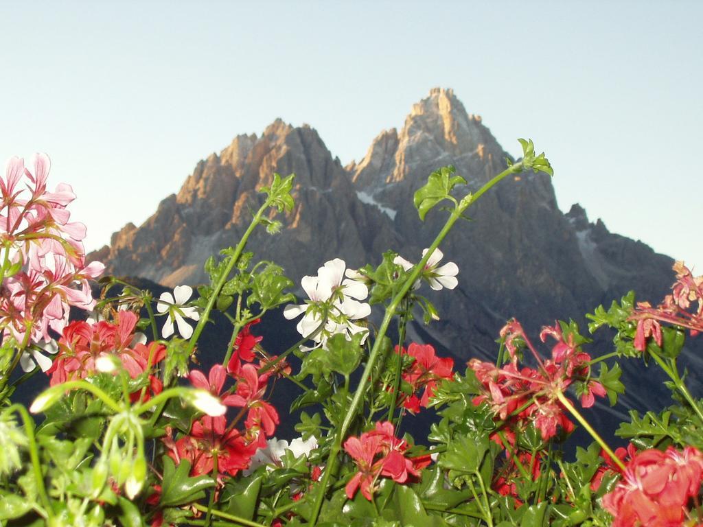 Galler Am Berg San Candido Pokój zdjęcie